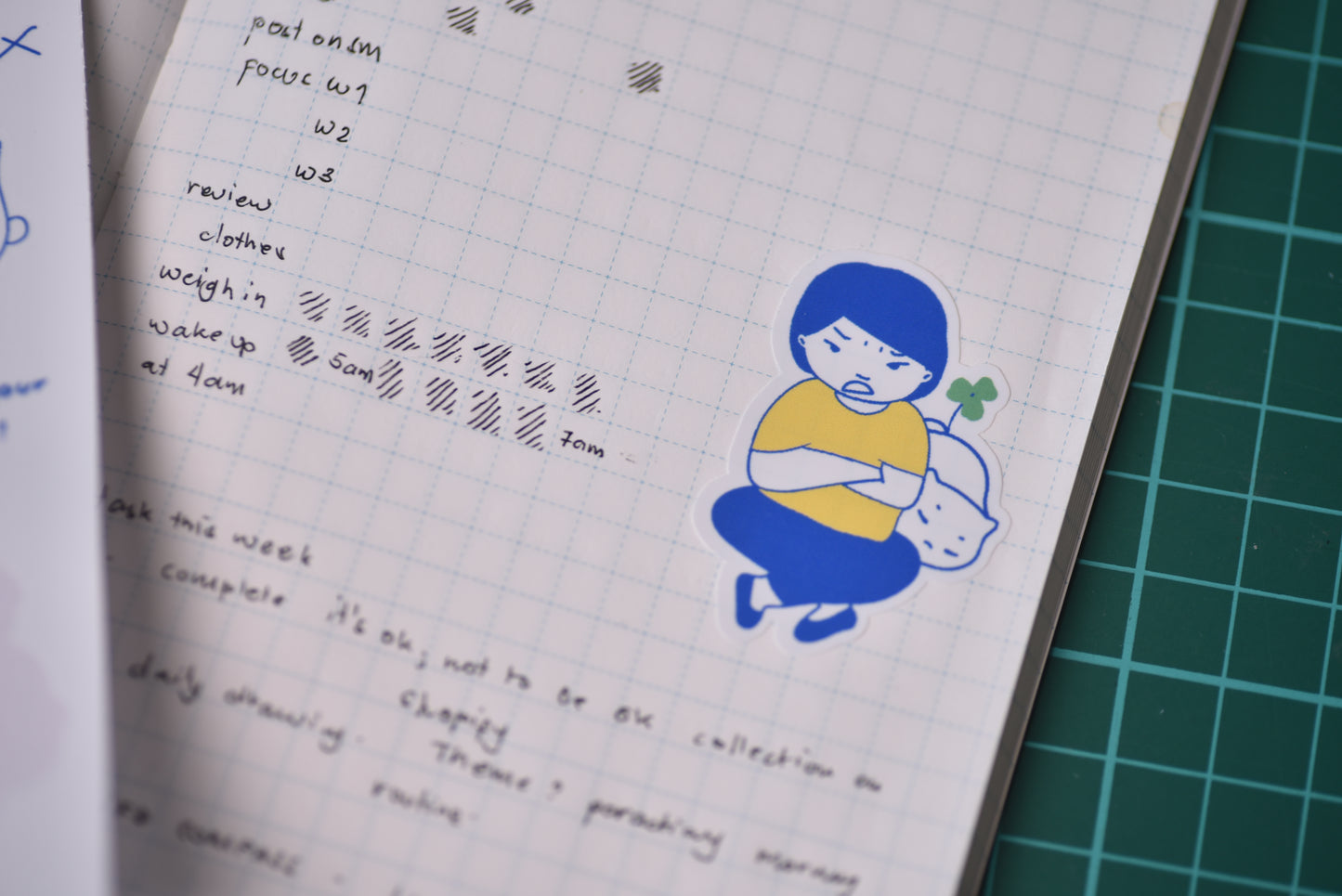 Vinyl Sticker Sheet - White